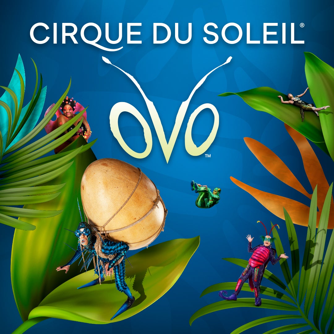 CIRQ DU SOLEIL ANNOUNCES “OVO” COMING TO KASEYA CENTER